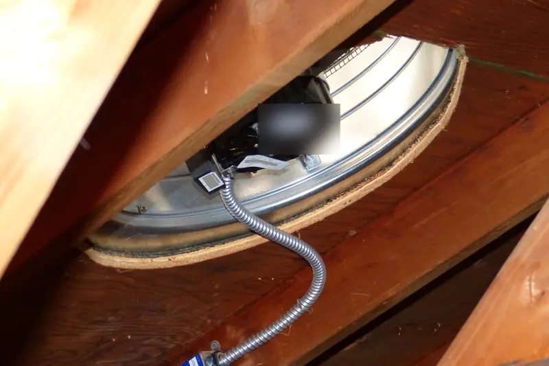 View inside an attic of a round powered ventilator fastened between bare wood rafters, a coiled metal-sheathed cable hanging below its motor
