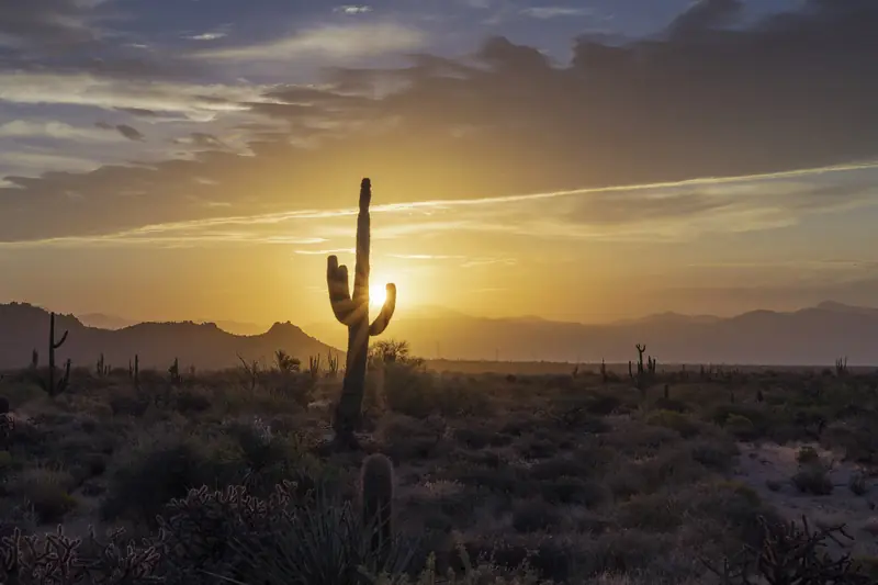 A lone saguaro stands black against a hot orange sunrise above low desert brush and a far ridge of mountains